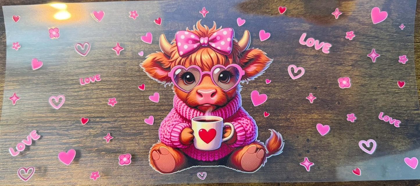 Loveable Highland Cow
