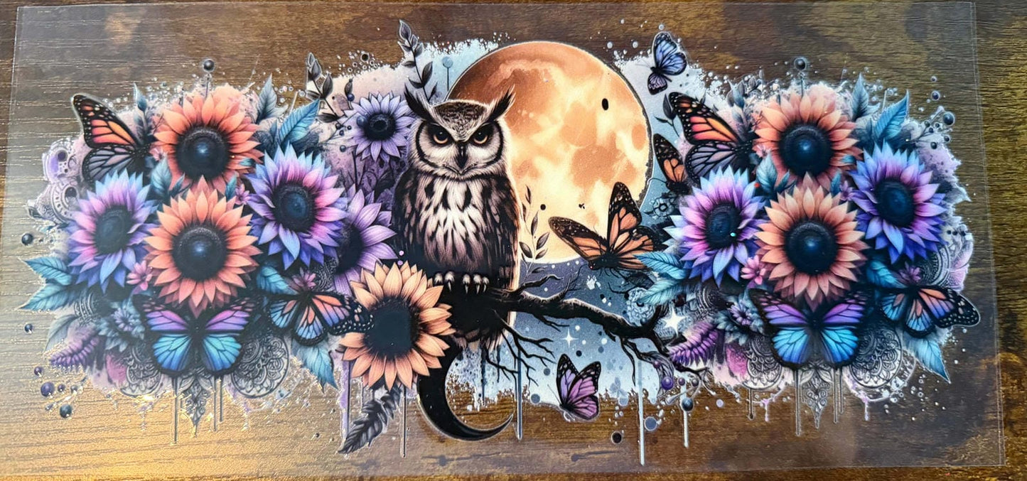 Owl