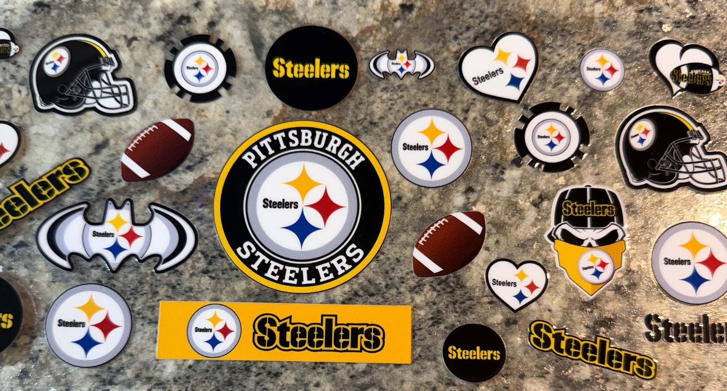 Pittsburgh Steelers Fan
