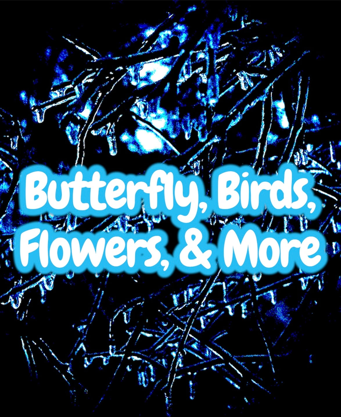 Butterfly, Birds, Flowers, and More