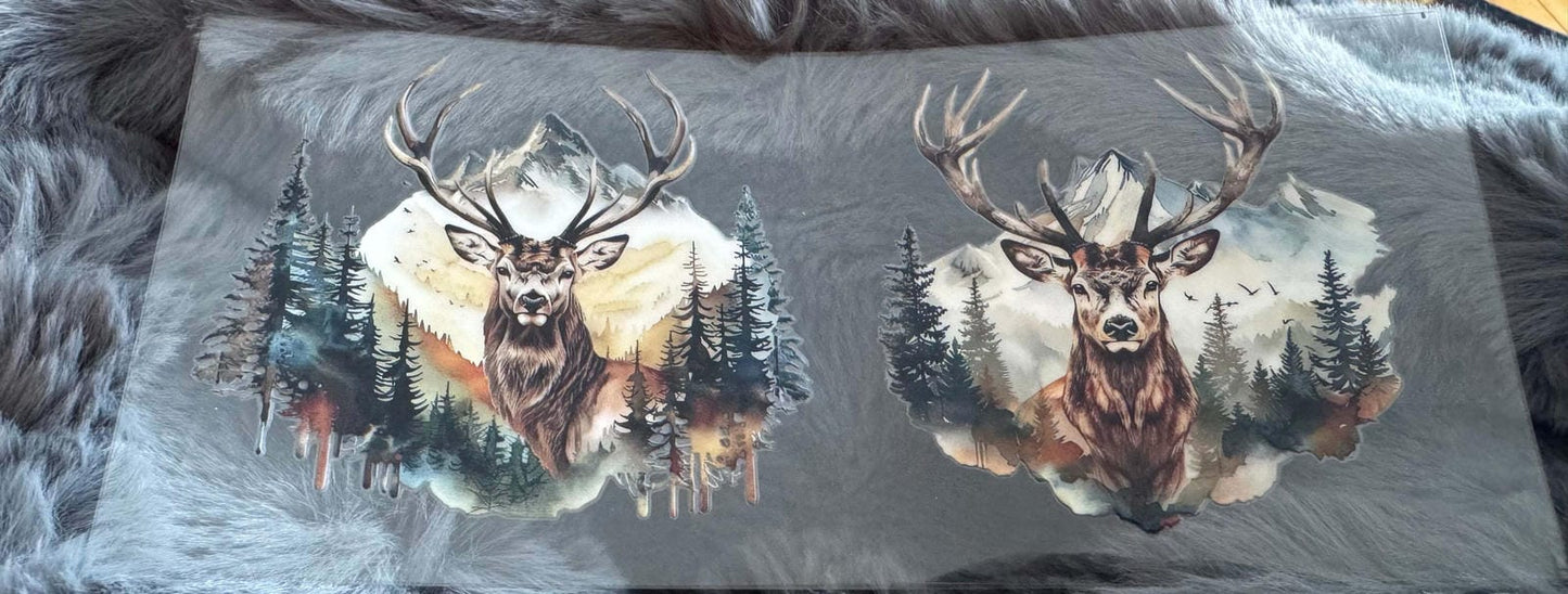 Deer