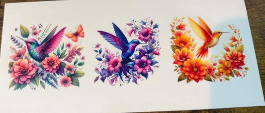 Bright colorful Hummingbirds
