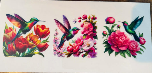 Colorful Hummingbirds