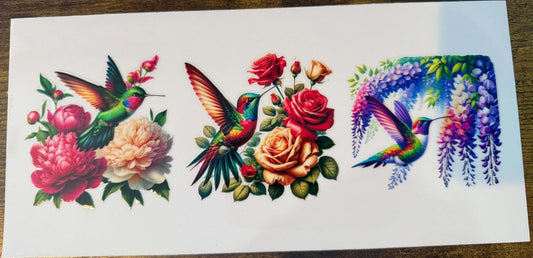 Hummingbird