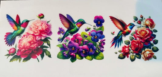 Hummingbirds