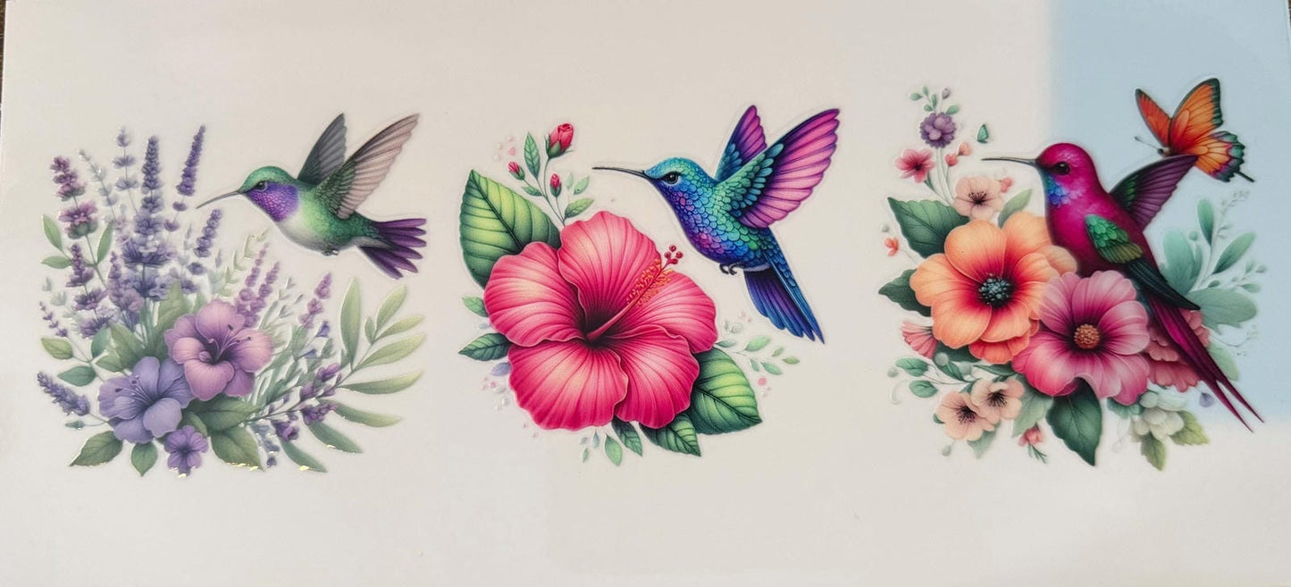 Pretty Hummingbirds