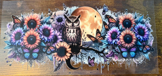 Owl